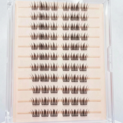 Glue-Free Lash Clusters - Celiara