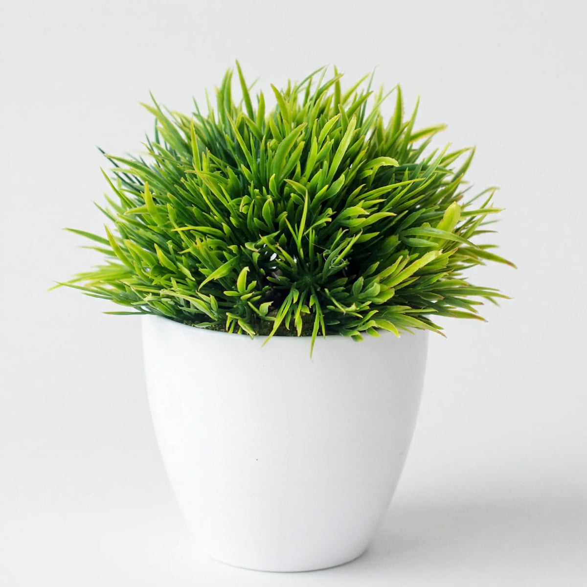 Mini Sculpted Tabletop Tree - Verdelia