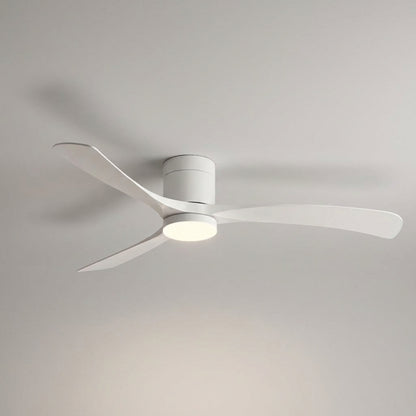 Modern Ceiling Fan With Light -  Aerialynx