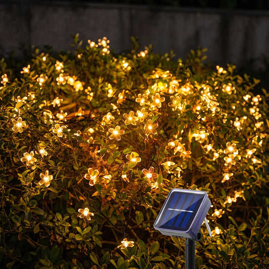Solar Outdoor String Lights - Blossomray
