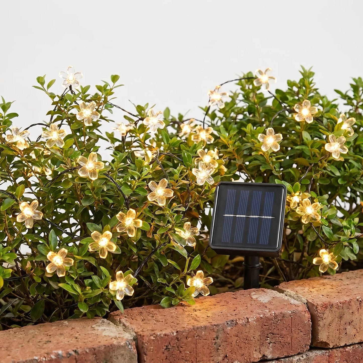 Solar Outdoor String Lights - Blossomray