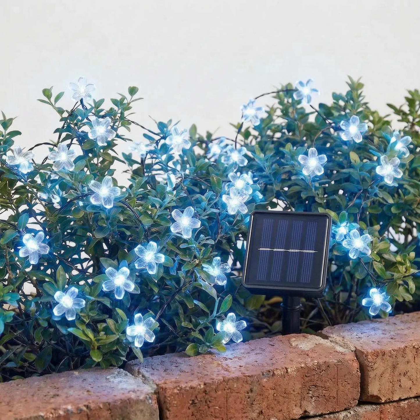 Solar Outdoor String Lights - Blossomray