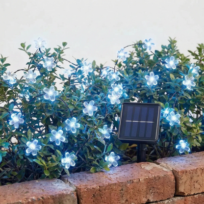 Solar Outdoor String Lights - Blossomray