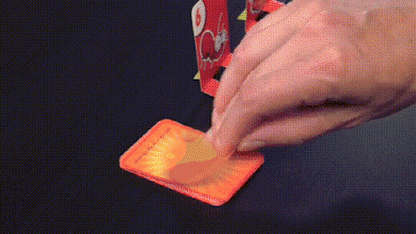 Active Frog Game for Young and Old - FrogFlip-Nora Luxe