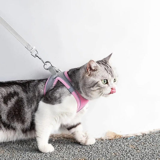 Adjustable Cat Harness with Leash – WhiskerWander-Pink-XS - 1.1 – 6.6 lbs-Nora Luxe