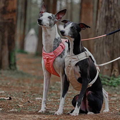 Anti-Trek Dog Harness with Multi-Functional Leash - AquaCool-Harness - Beige-XS-Nora Luxe