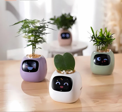 Automatic Smart Flowerpot - GreenBuddy SmartPot-Green-Nora Luxe