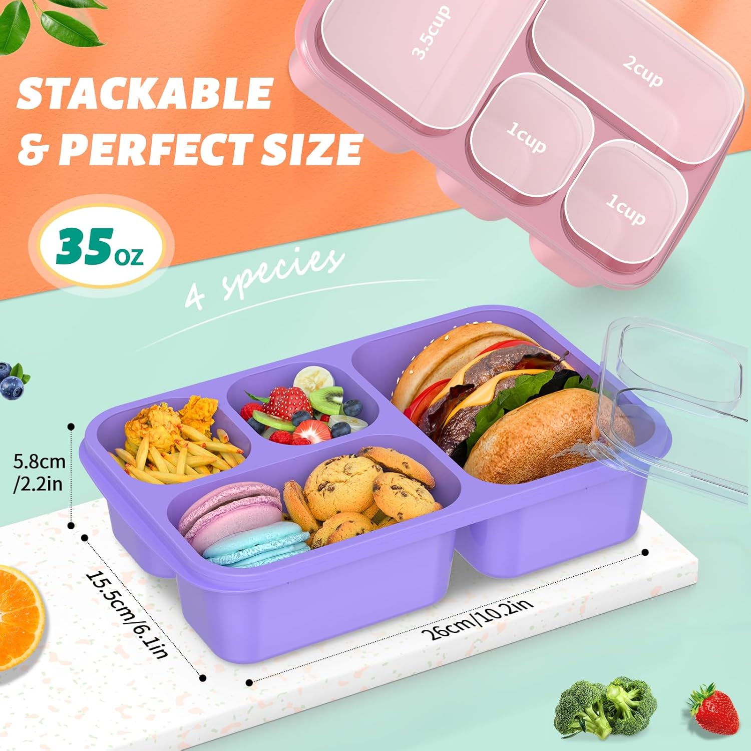 Bento Box Meal Prep Containers - 4-Pack-Green/Blue/Pink/Beige - 5 Compartments-Nora Luxe