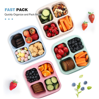 Bento-Style 4-Compartment Meal Prep Boxes (4-Pack) - Bento4You-Nora Luxe