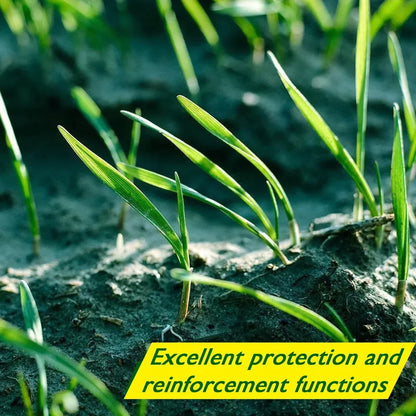 Biodegradable Grass Seed Mat - Verdi-The Livary