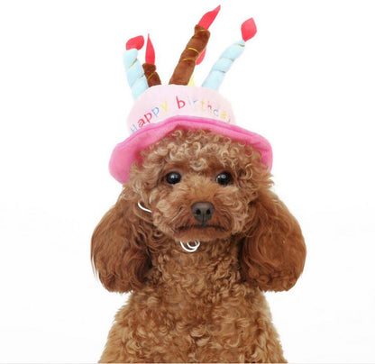 Birthday Hat for Dogs and Cats - PartyPaws-Blue-Nora Luxe