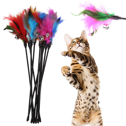 Cat Toys with Feathers (5 Pieces) - FeatherChase-Set type 1-Nora Luxe