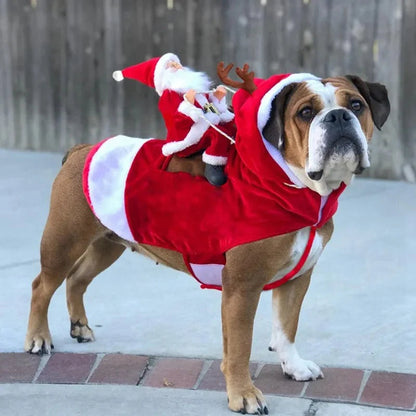 Christmas Costume for Dogs - SantaPaws-Nora Luxe