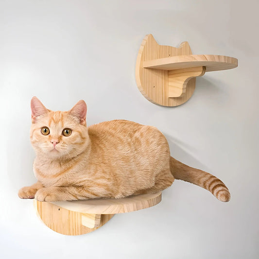 Climbing Wall Shelf for Cats with Scratching Post - ClimbPaws-First Step-Nora Luxe