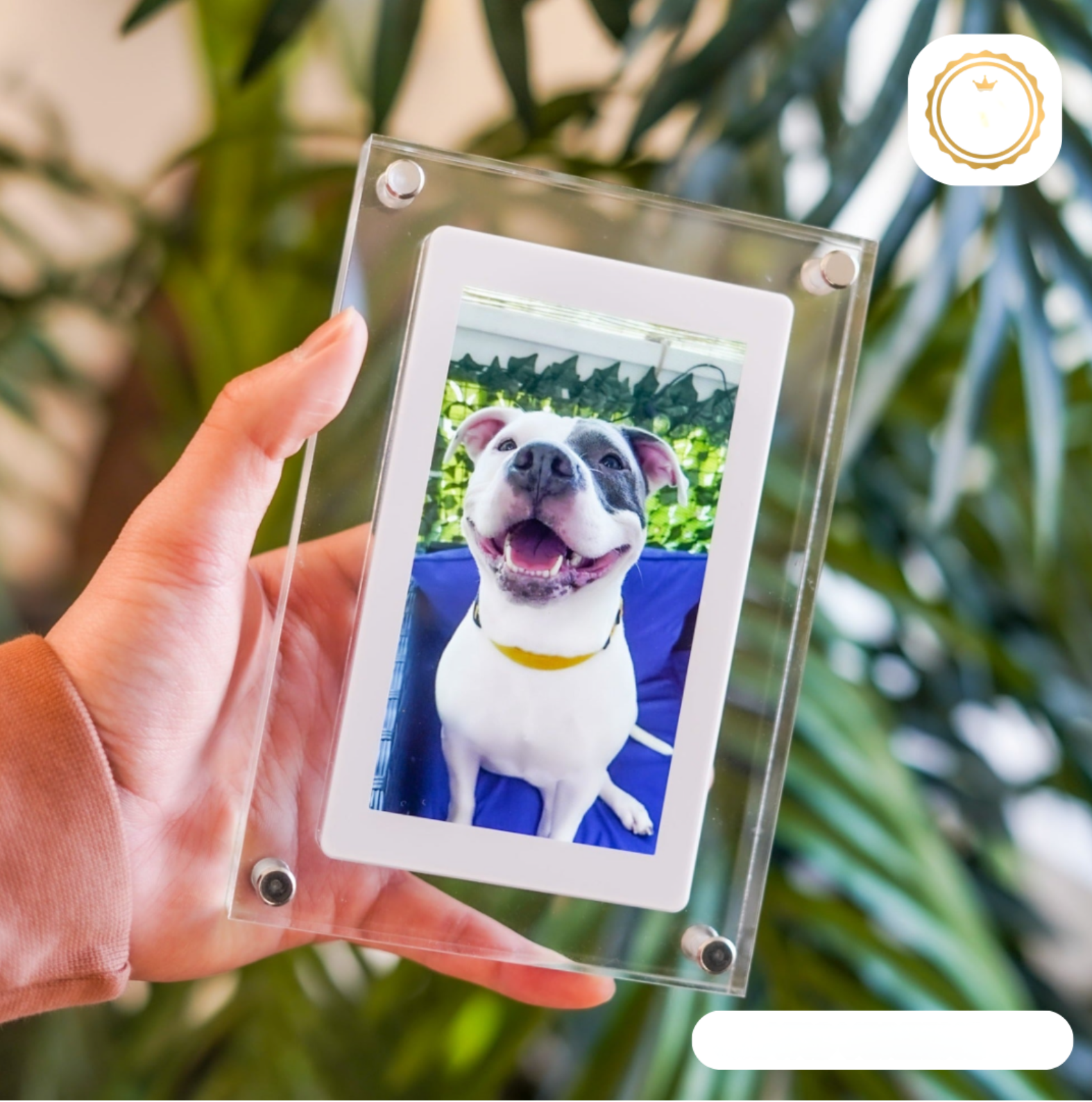 Digital Photo Frame - GlowFrame-4.92 inches-Nora Luxe