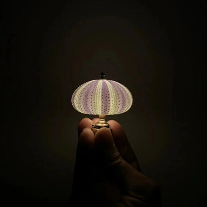 DIY Sea Urchin Night Light - LumiUrchin-The Livary