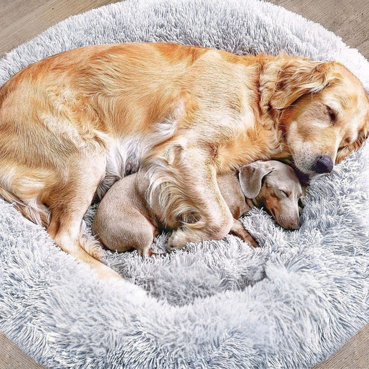 Dog Bed Fluffy Plus - The Original-Gray-XXS - 19.7in-Nora Luxe