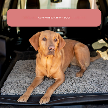 Dog Entrance Mat - Boris-Gray-S-Nora Luxe
