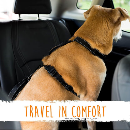 Dog seatbelt - Secure your pet safely in seconds!-Nora Luxe