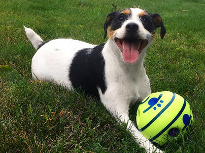 Interactive Play Ball for Dogs - GiggleSphere-Nora Luxe