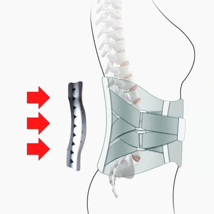 Lumbar Back Brace – Thijmen-Silver-S-The Livary