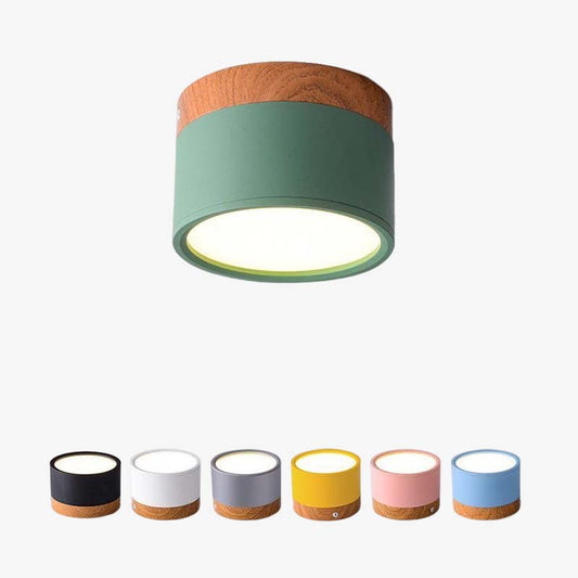 Morandi Style Modern LED Ceiling Lamp - LumiModo-Blue-5W-Warm white-Nora Luxe
