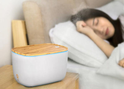 Multifunctional Household Nebuliser - MistFlow-Nora Luxe