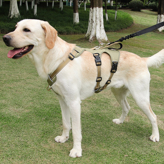Reflective Anti-Pull Dog Harness - GripGuard-Khaki-S-Nora Luxe