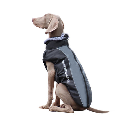 Reflective Dog Jacket with Harness - GlowPaw™-Gray-S-Nora Luxe