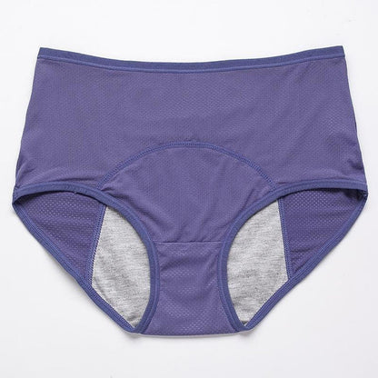 Reliable Menstrual Underwear for Daily Protection - Noor (1+1 FREE)-1+1 FREE (Blue)-S (28–30 inches)-Nora Luxe