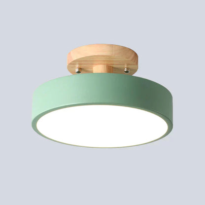 Scandinavian LED Ceiling Lamp - NordWood-Green-Nora Luxe