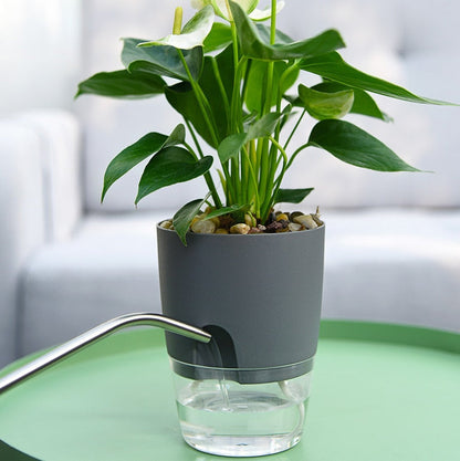 Self-Watering Plant Pot - AquaBloom-Gray-S-Nora Luxe