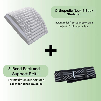 Support and Steering Belt - TripleSupport-Nora Luxe