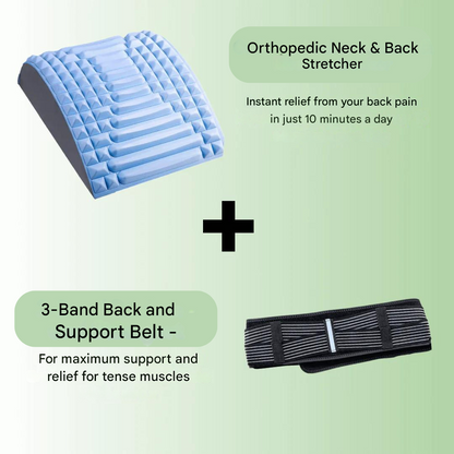 Support and Steering Belt - TripleSupport-Nora Luxe
