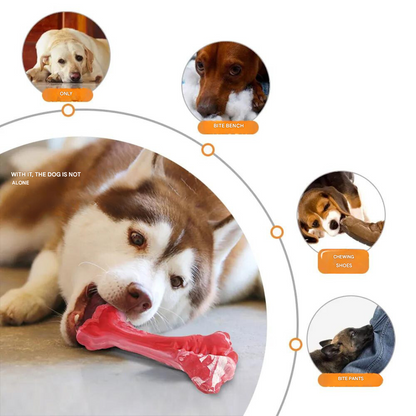 The Playful Dog Dentist - BuddyChew-S-Nora Luxe
