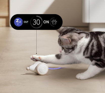 The Ultimate Chew-Resistant Cat Toy - WhiskerPlay-Blue-Nora Luxe