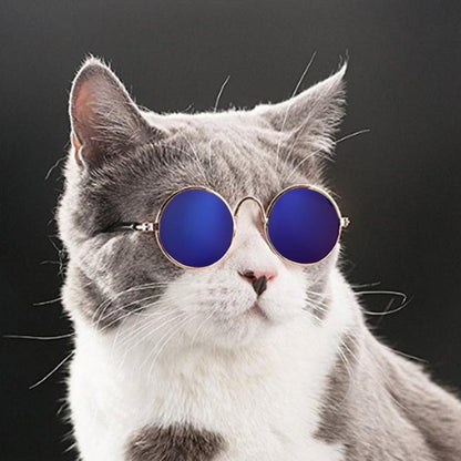 Trendy Cat Sunglasses - KittyShades-Black-Nora Luxe
