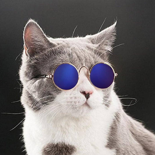 Trendy Cat Sunglasses - KittyShades-Black-Nora Luxe